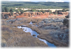 The beauty of ranch life in Northern New Mexico.